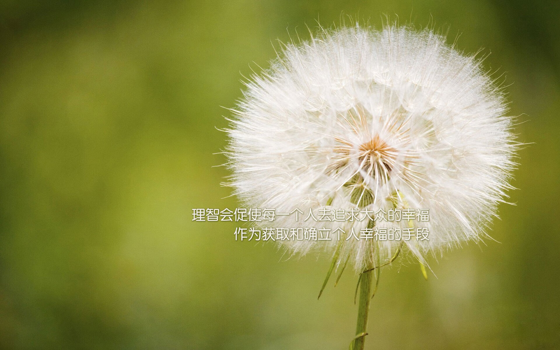 史上最震撼的球队逆转:不可复制的奇迹瞬间,经典逆转比赛