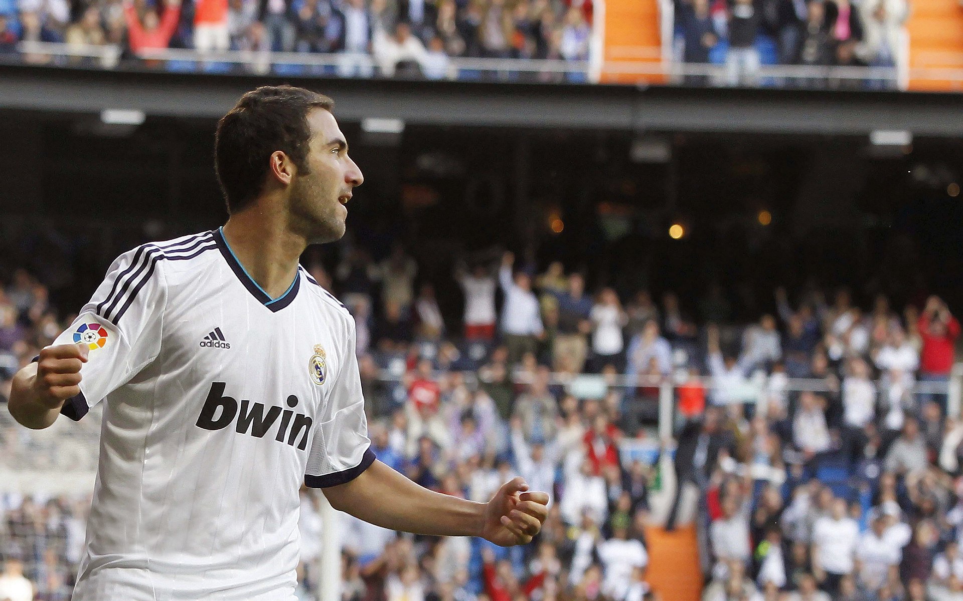 德甲精彩,球迷期待未来比赛,德甲参赛球队