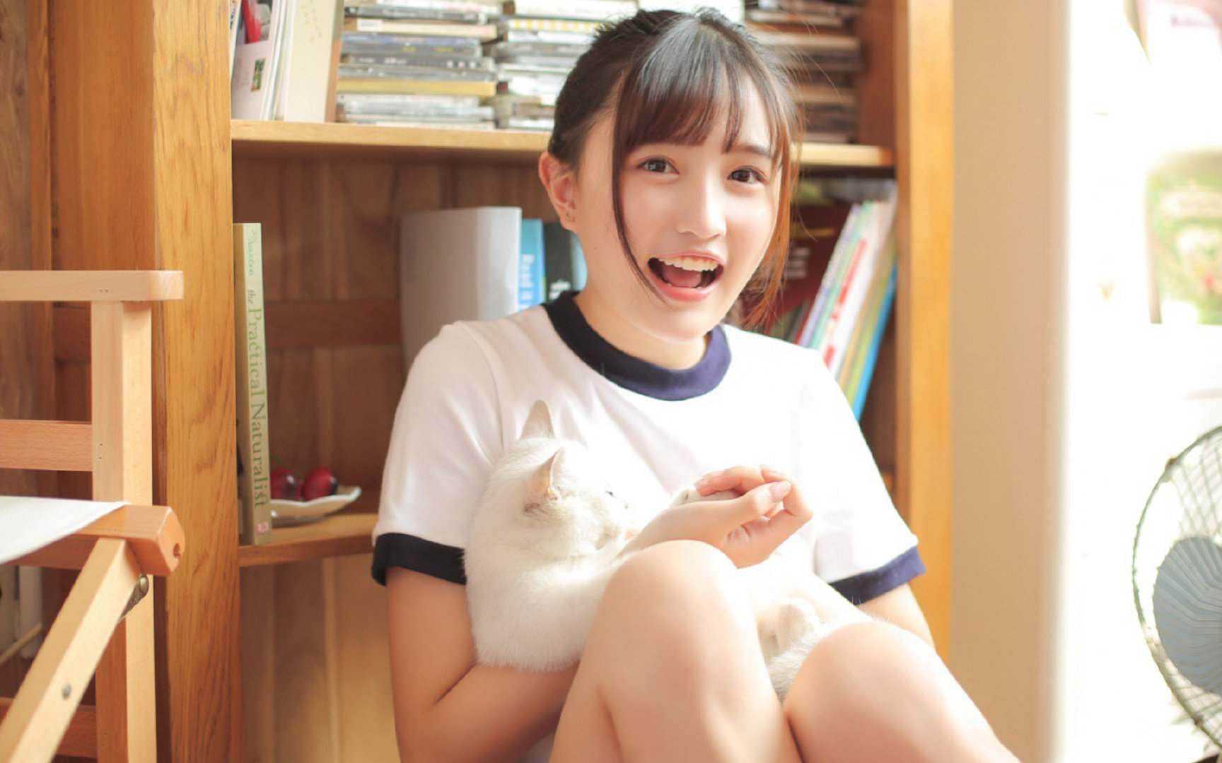 球迷自发:打造最独特的球迷应援阵营,球迷的乃