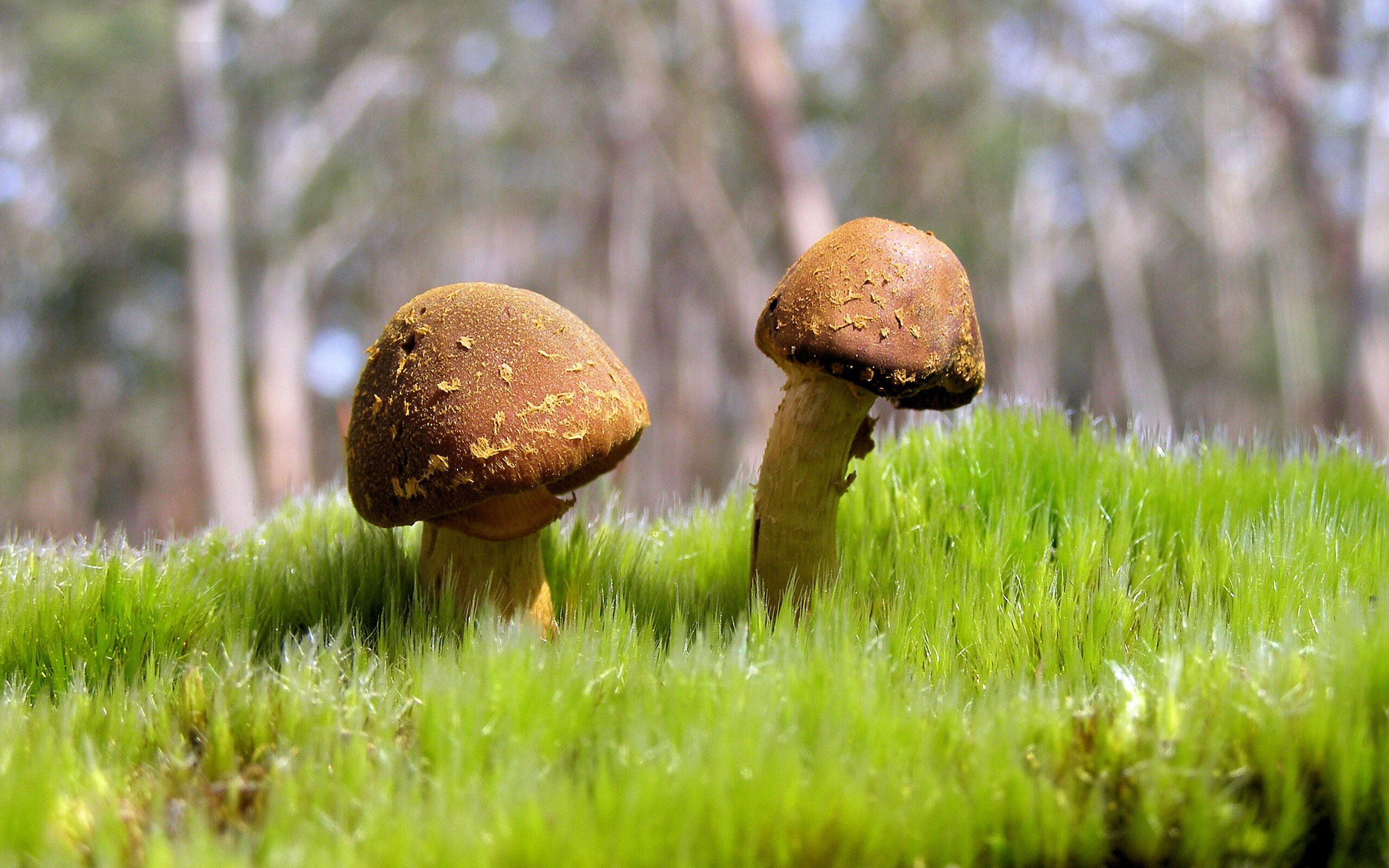 足彩网点建设快速推进,普及足球体育知识,足彩基地