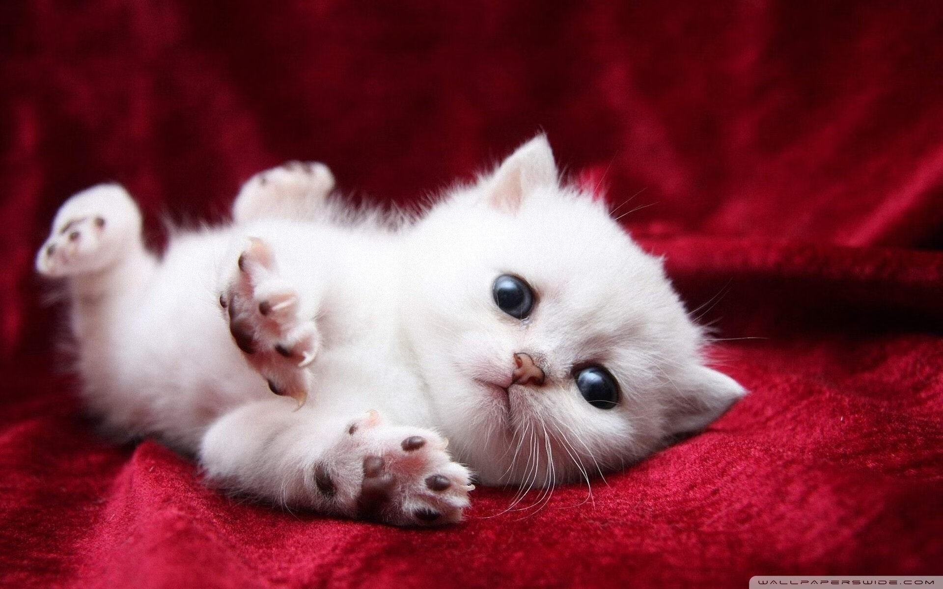 Jiuyou-足球运动与科技深度融合，虚拟训练引领行业变革，足球训练系统