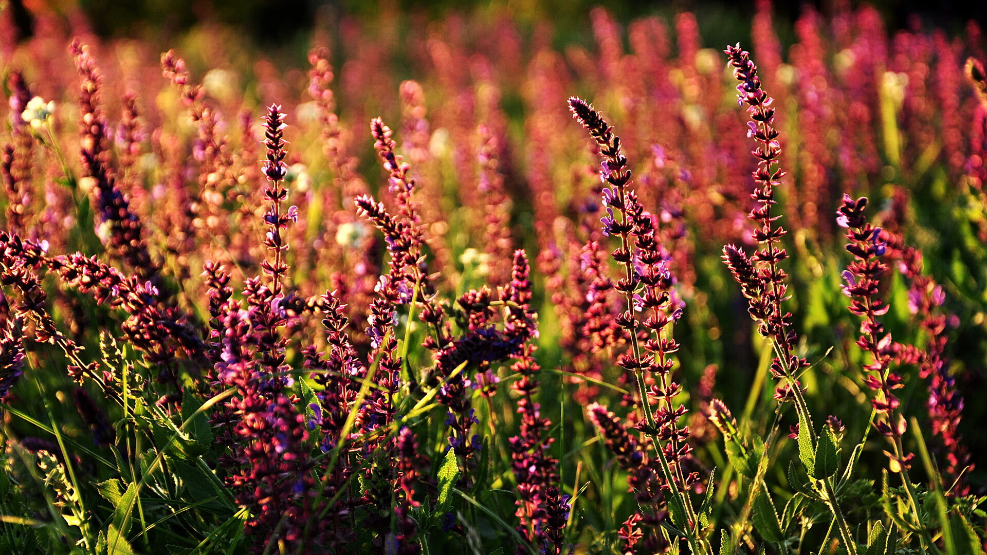足球游戏联动中超IP开启虚拟赛事赛季,虚拟足球真的不能碰
