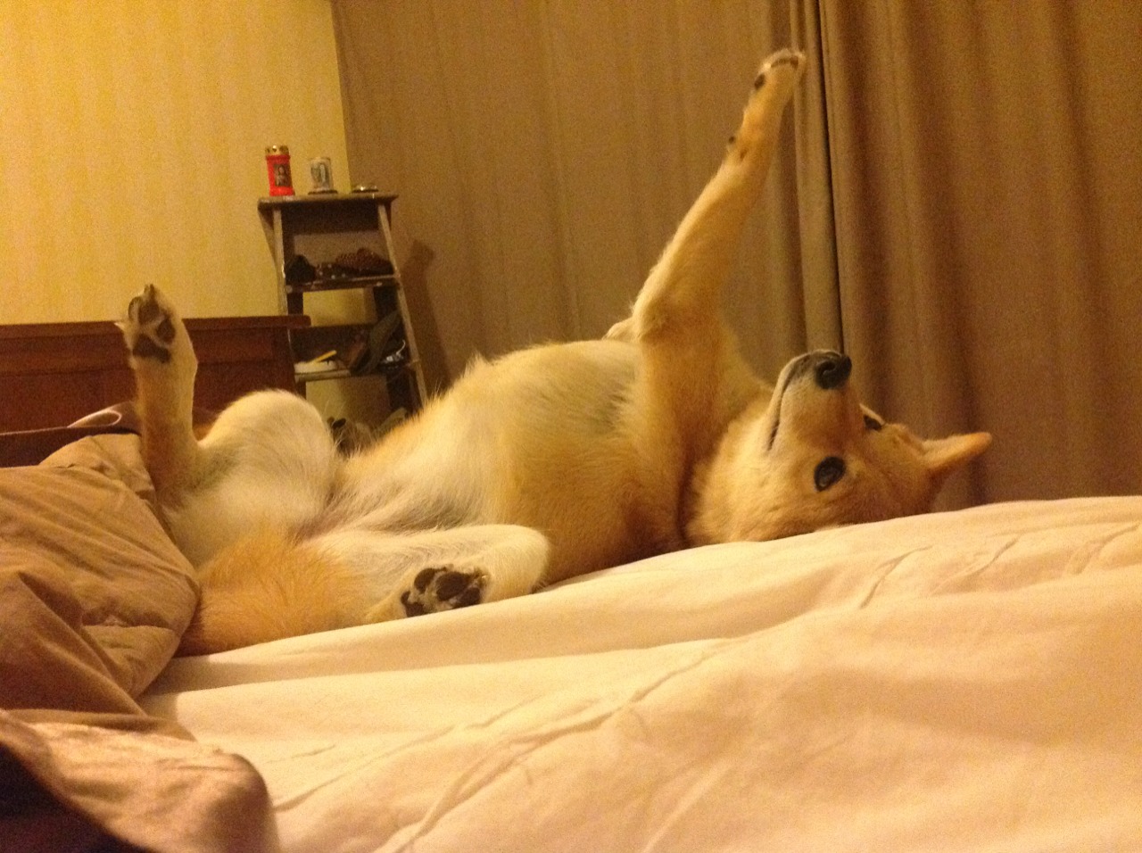 JIU YOU GAME-足球界的“神话”传说：那一段难忘的辉煌时光，关于足球的传说