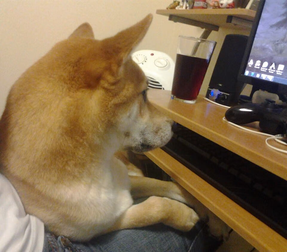 九游娱乐官网 (JIUYOU)-WNBA明星球员表现持续抢眼，wnba明星队