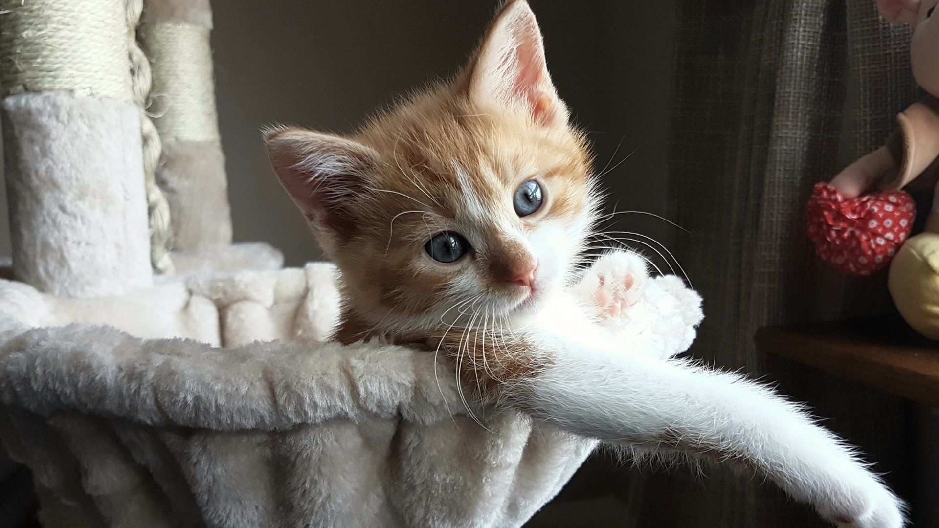 利物浦客场战胜阿斯顿维拉,英超卫冕梦想闪现,英超利物浦对阿斯顿维拉